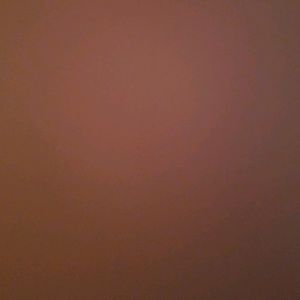 Meet your Posher, Kenzie